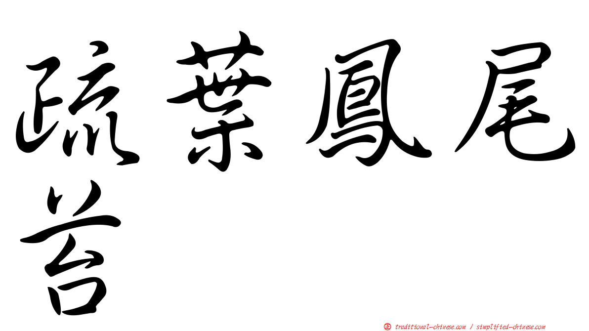 疏葉鳳尾苔