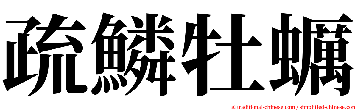 疏鱗牡蠣 serif font