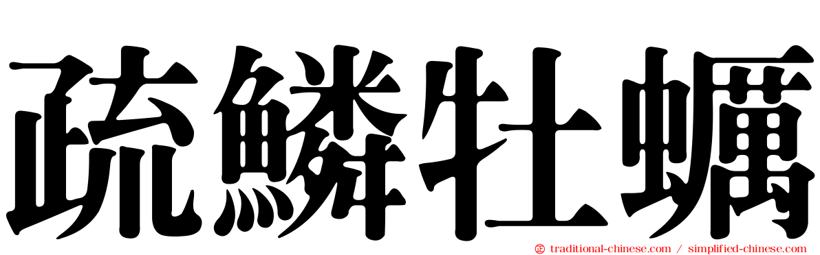 疏鱗牡蠣