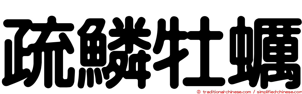 疏鱗牡蠣