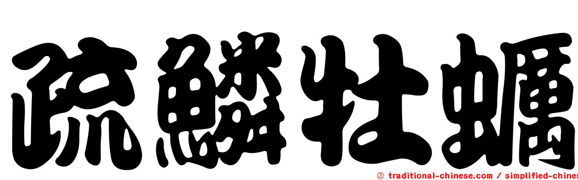 疏鱗牡蠣