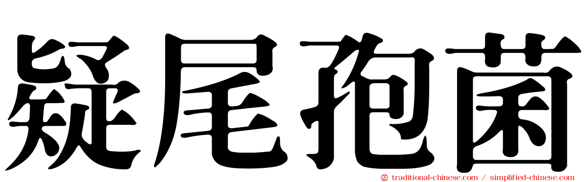疑尾孢菌