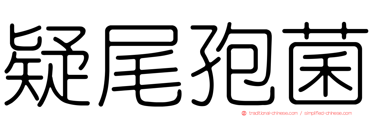 疑尾孢菌