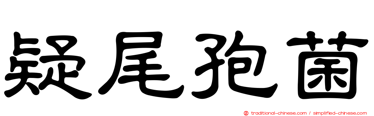 疑尾孢菌