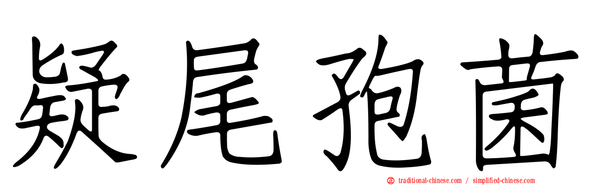 疑尾孢菌