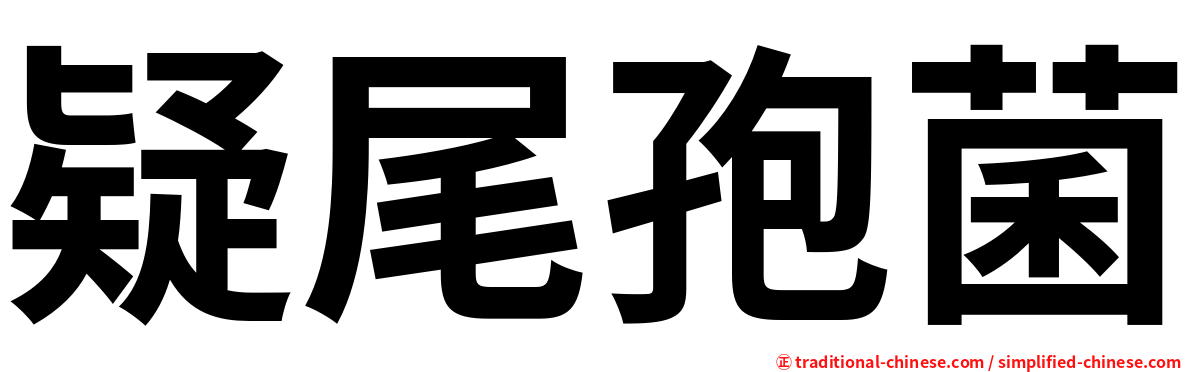 疑尾孢菌