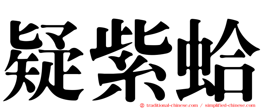 疑紫蛤