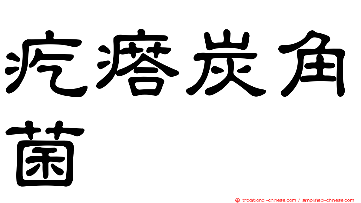 疙瘩炭角菌
