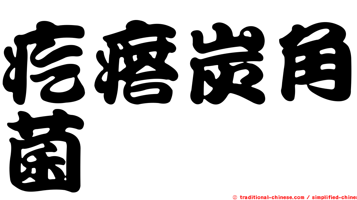 疙瘩炭角菌