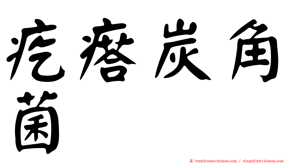 疙瘩炭角菌