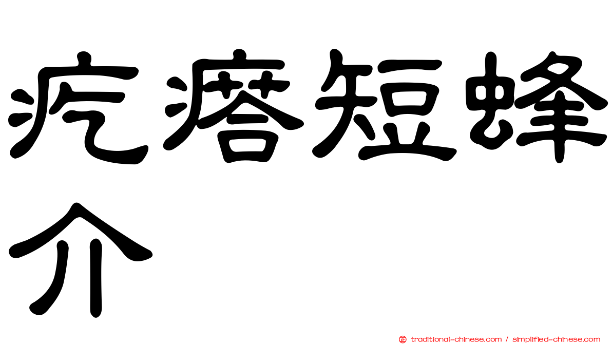 疙瘩短蜂介