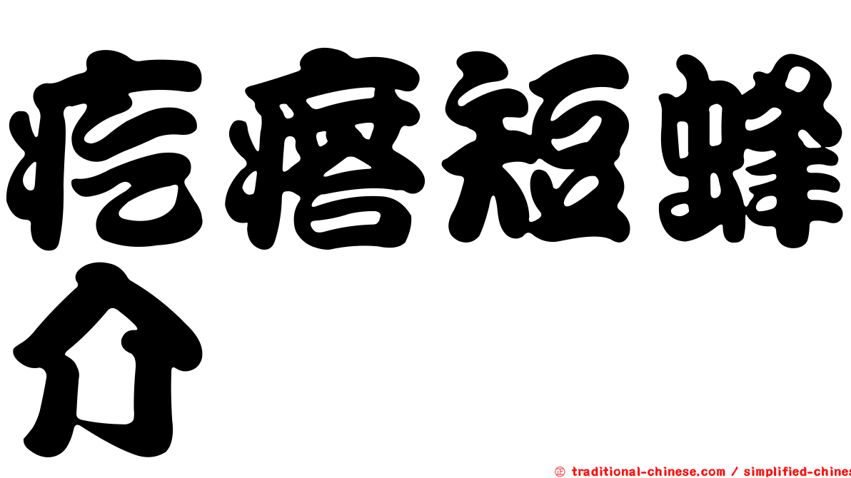 疙瘩短蜂介