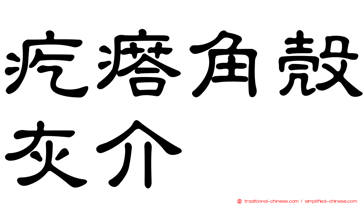 疙瘩角殼灰介