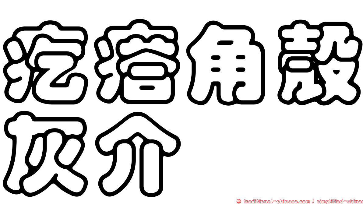 疙瘩角殼灰介