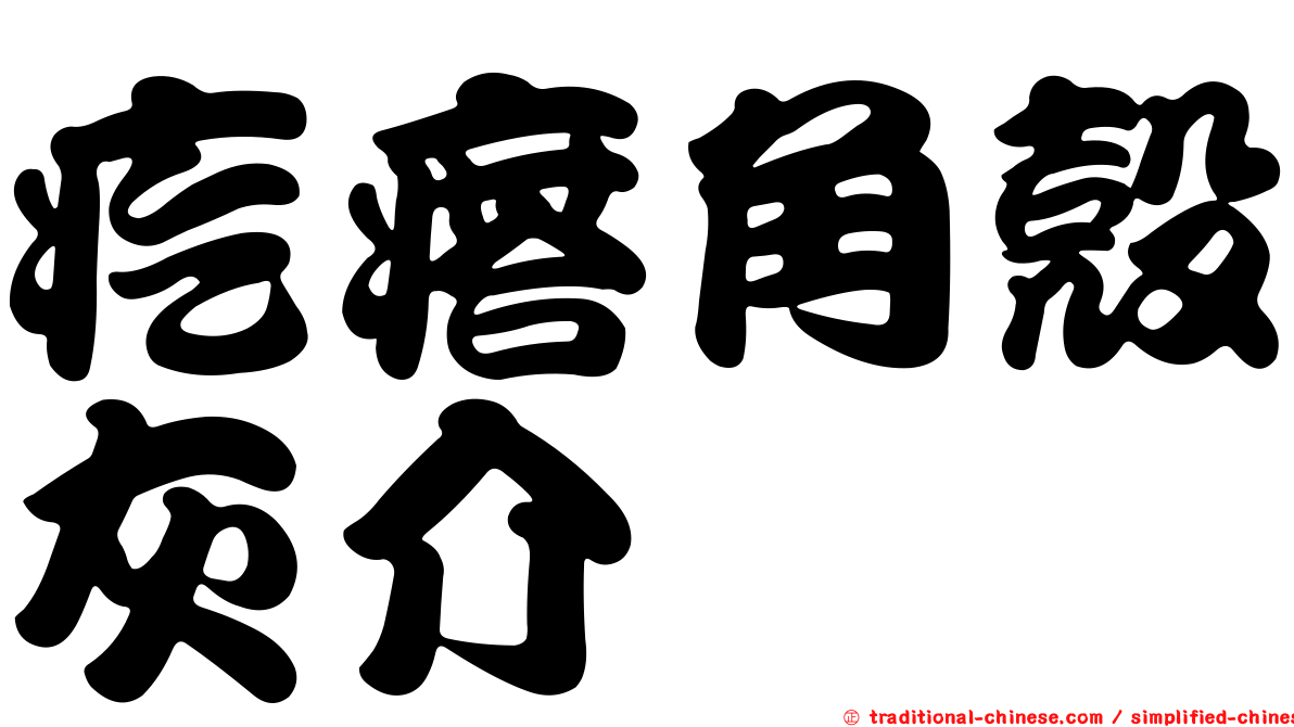 疙瘩角殼灰介