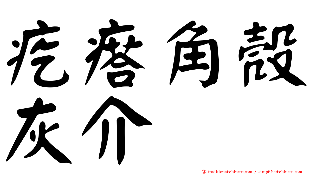 疙瘩角殼灰介