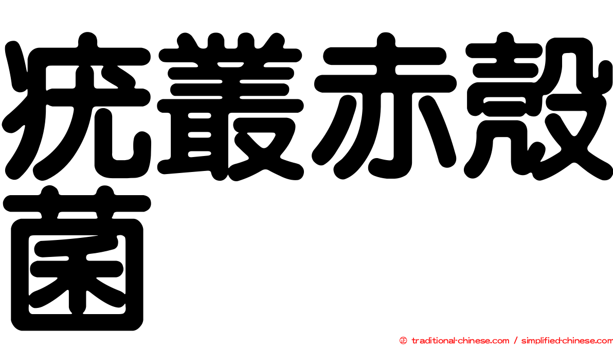 疣叢赤殼菌