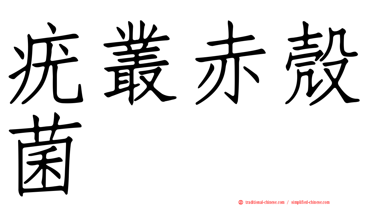 疣叢赤殼菌