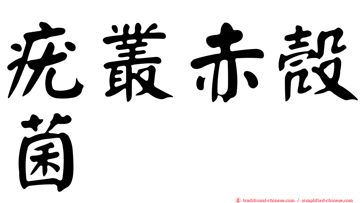 疣叢赤殼菌