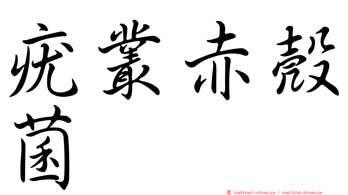 疣叢赤殼菌
