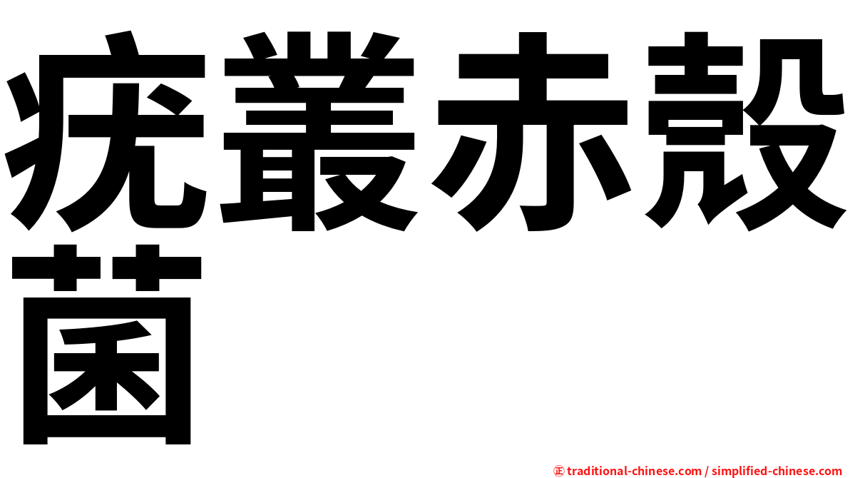 疣叢赤殼菌