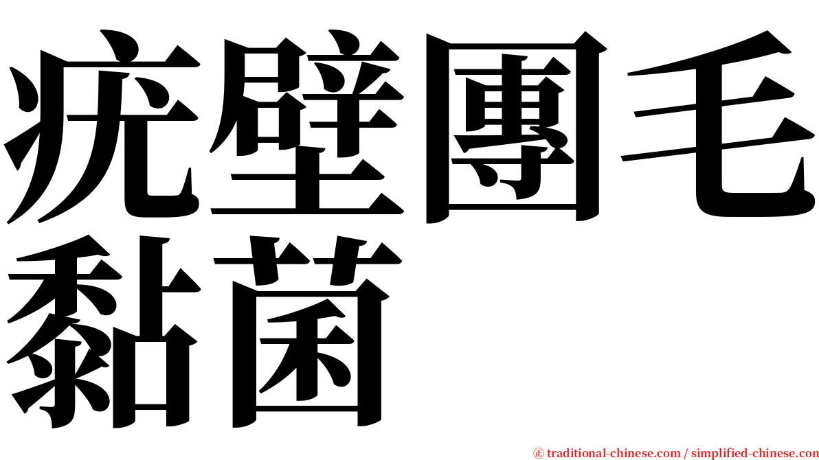 疣壁團毛黏菌 serif font
