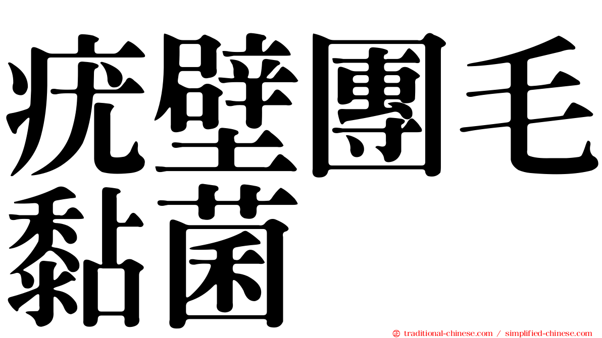 疣壁團毛黏菌