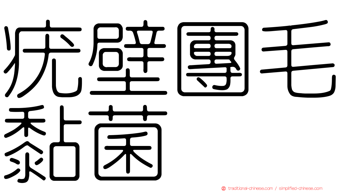疣壁團毛黏菌