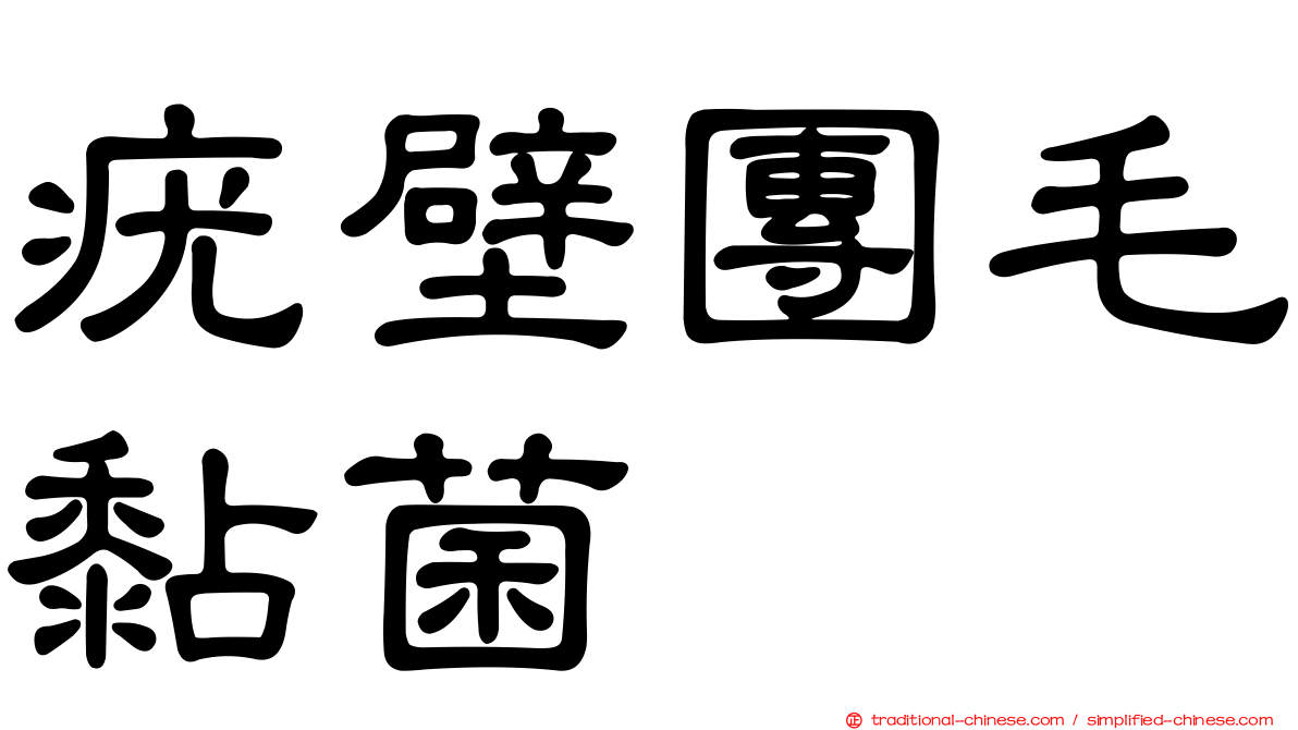 疣壁團毛黏菌