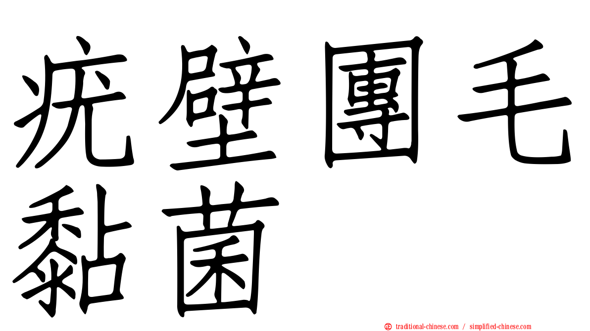 疣壁團毛黏菌