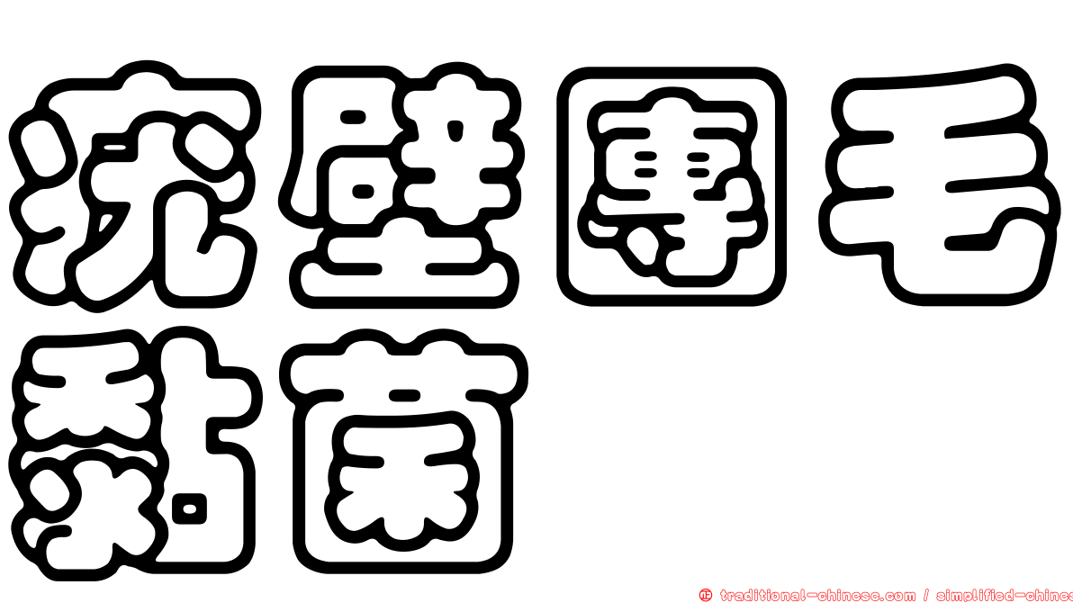 疣壁團毛黏菌