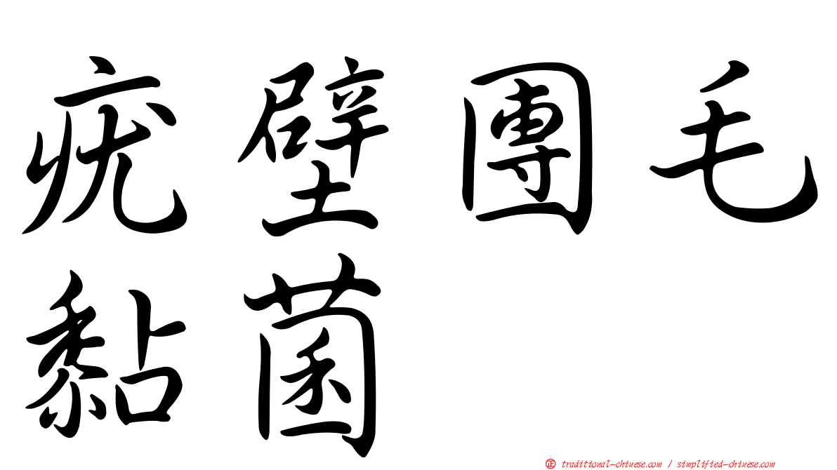 疣壁團毛黏菌