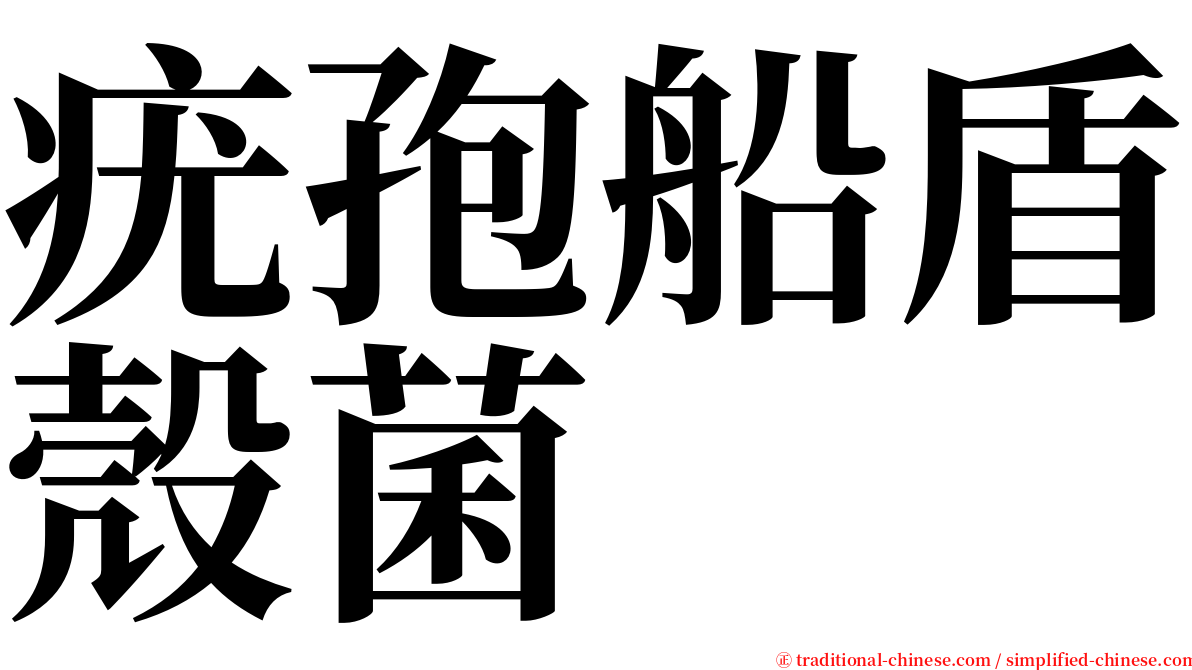 疣孢船盾殼菌 serif font