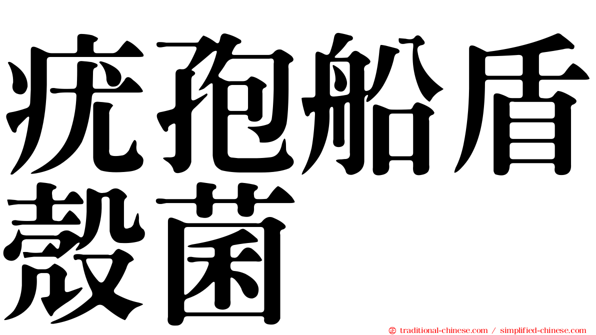 疣孢船盾殼菌