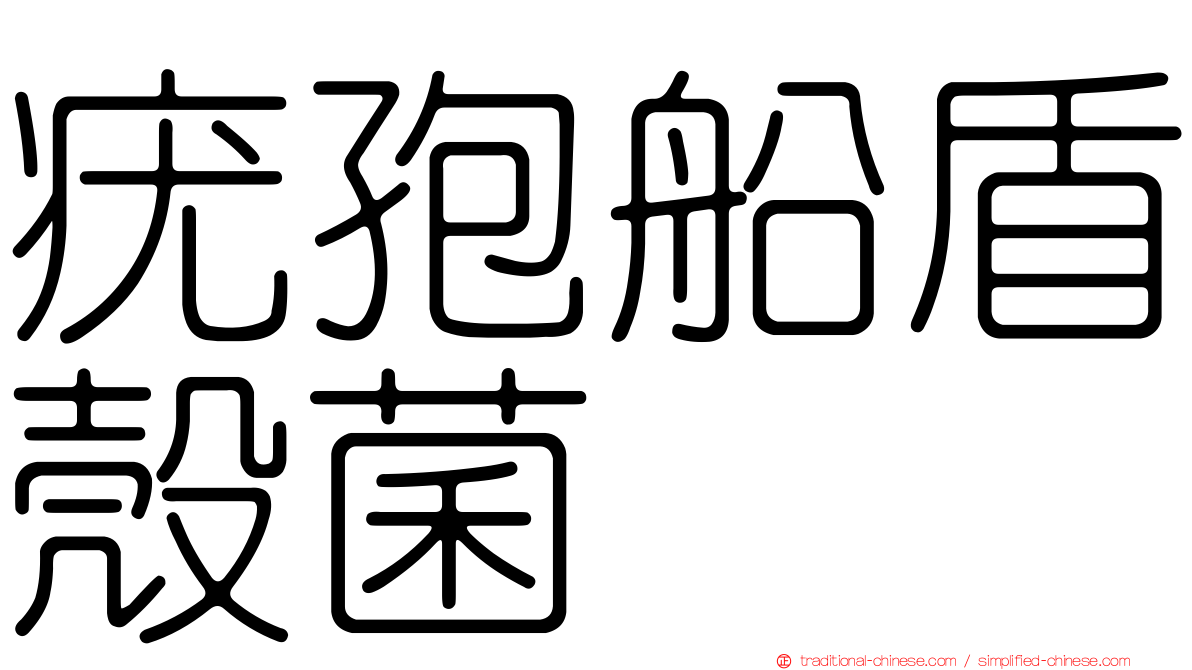 疣孢船盾殼菌