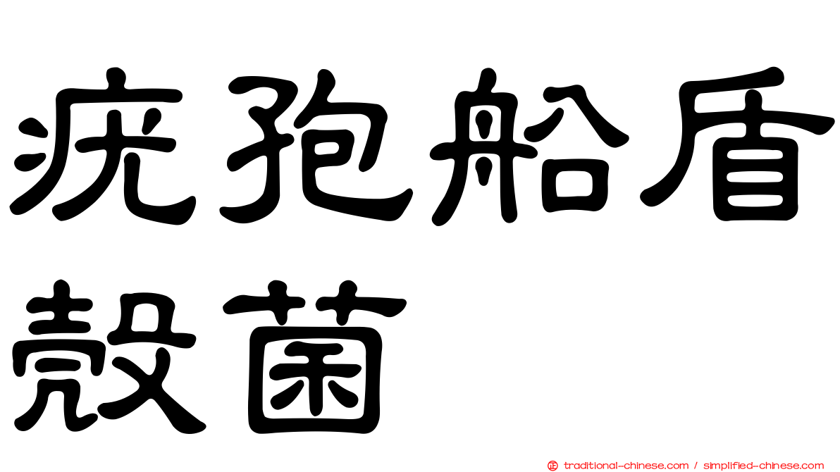疣孢船盾殼菌