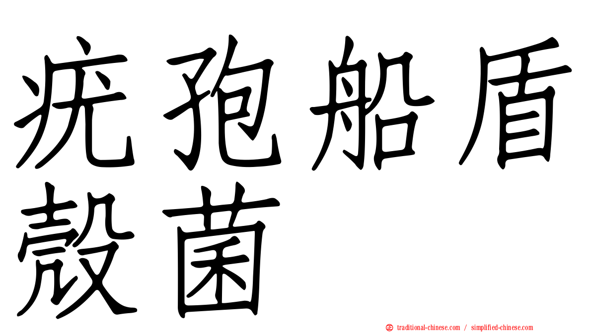 疣孢船盾殼菌