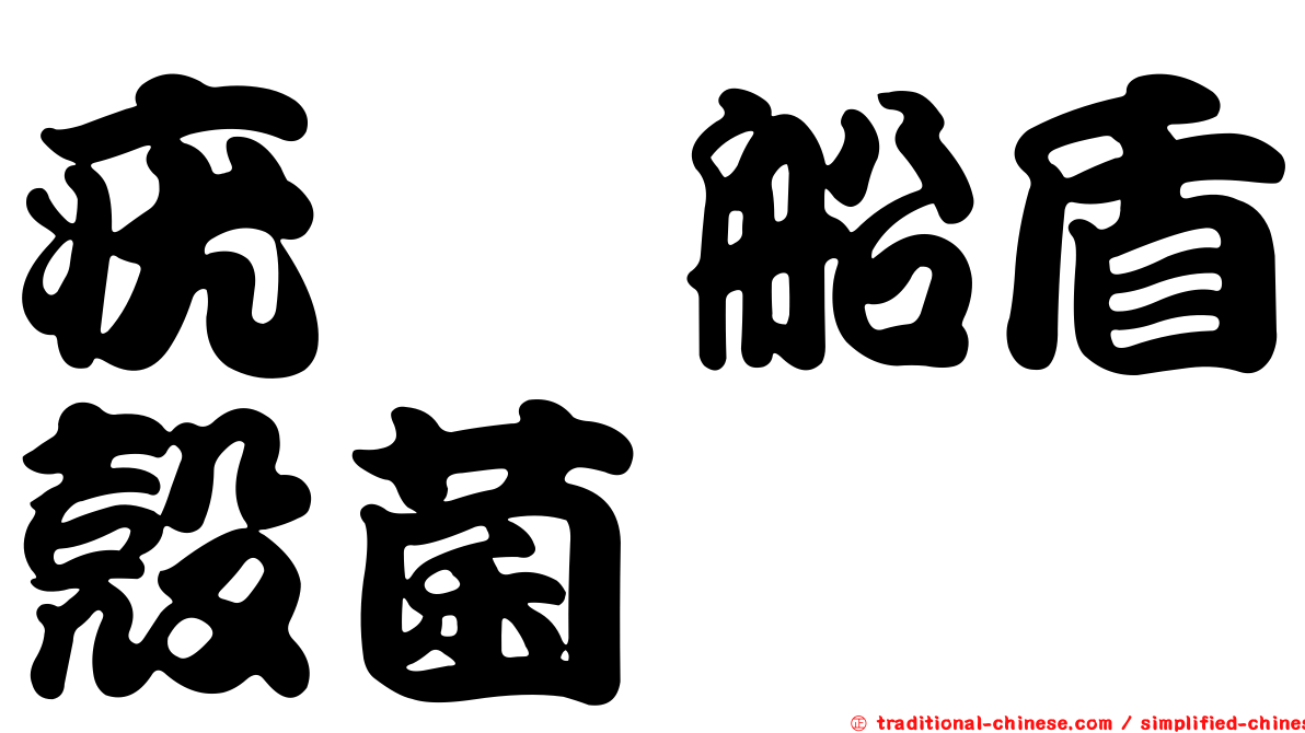 疣孢船盾殼菌