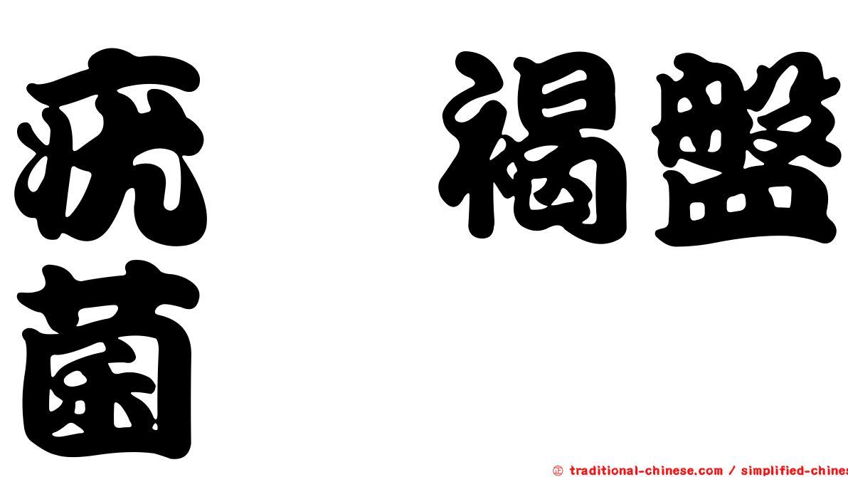 疣孢褐盤菌