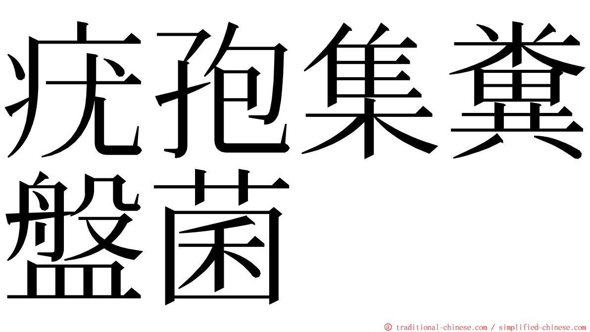 疣孢集糞盤菌 ming font