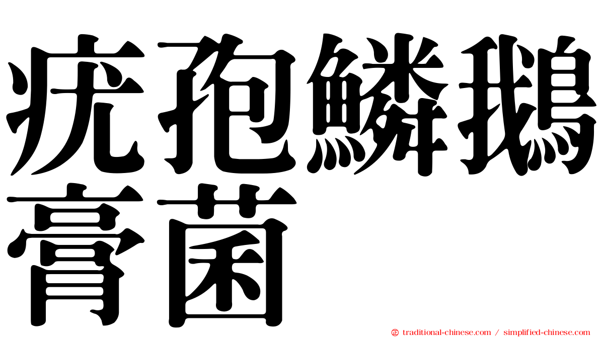 疣孢鱗鵝膏菌