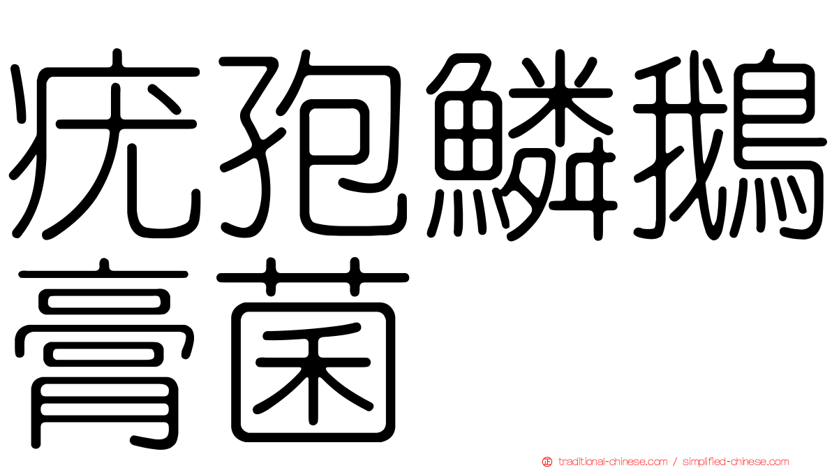 疣孢鱗鵝膏菌