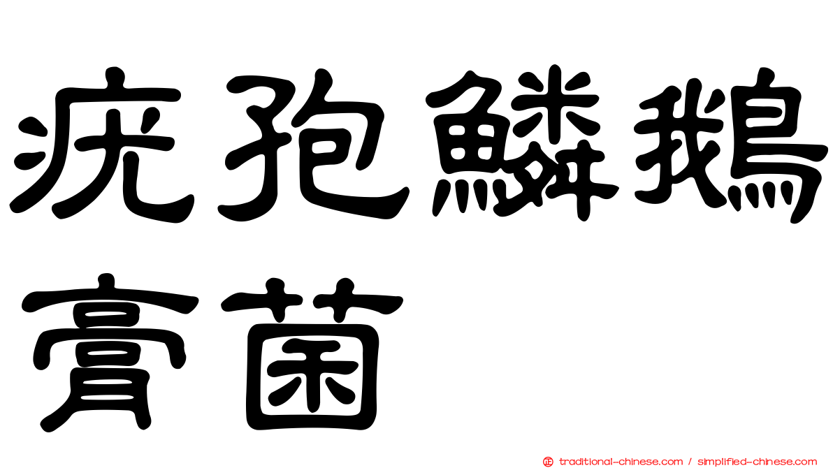 疣孢鱗鵝膏菌