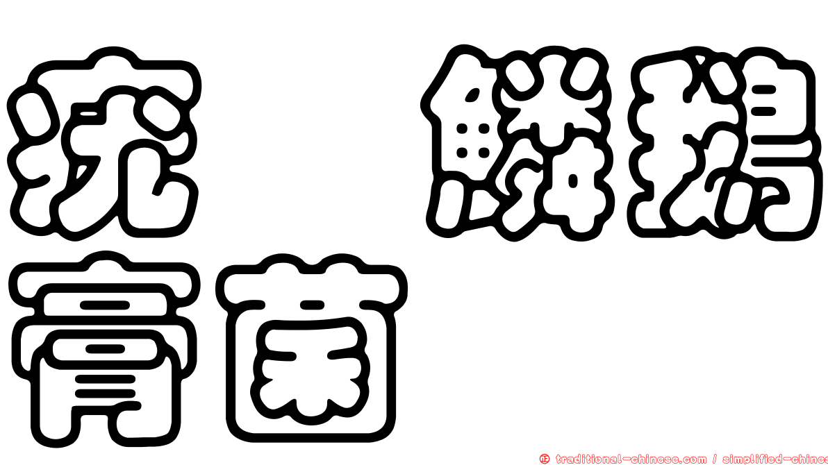 疣孢鱗鵝膏菌