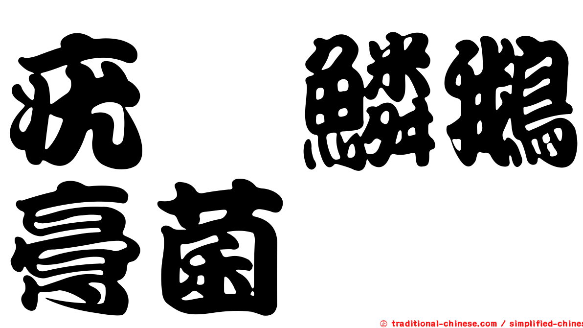 疣孢鱗鵝膏菌