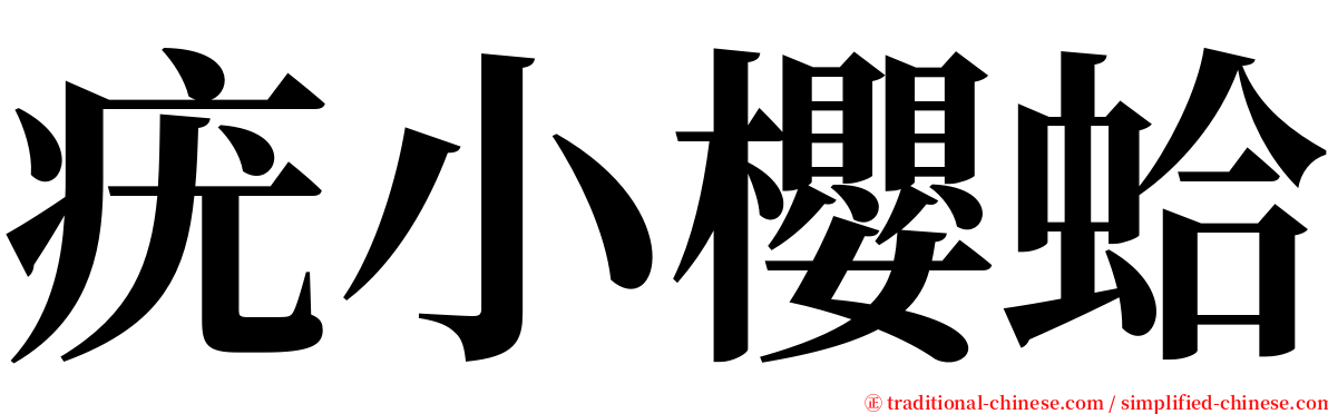 疣小櫻蛤 serif font
