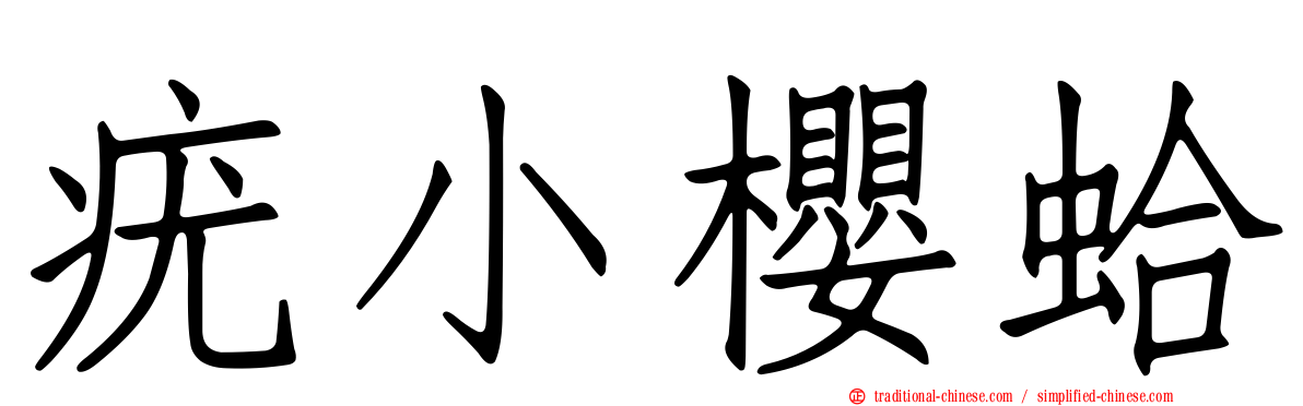 疣小櫻蛤