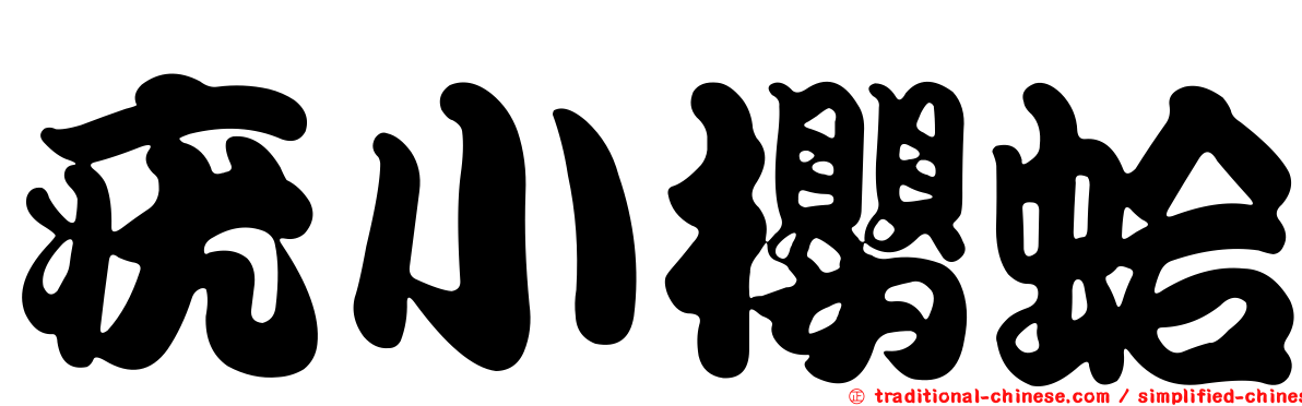 疣小櫻蛤