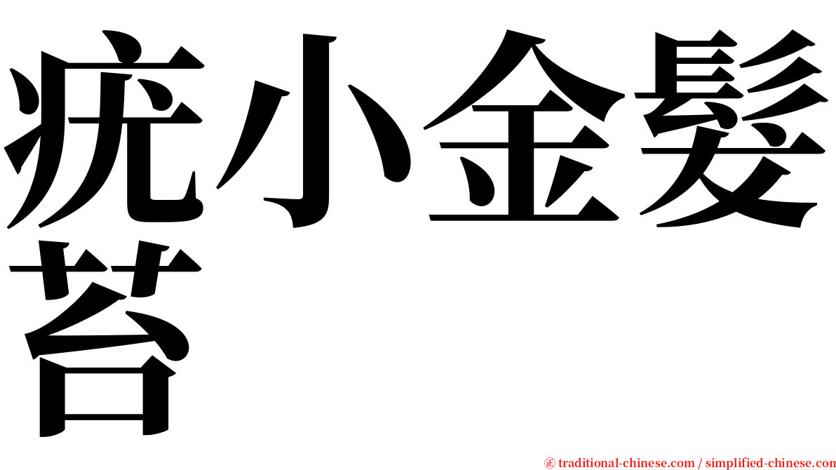 疣小金髮苔 serif font
