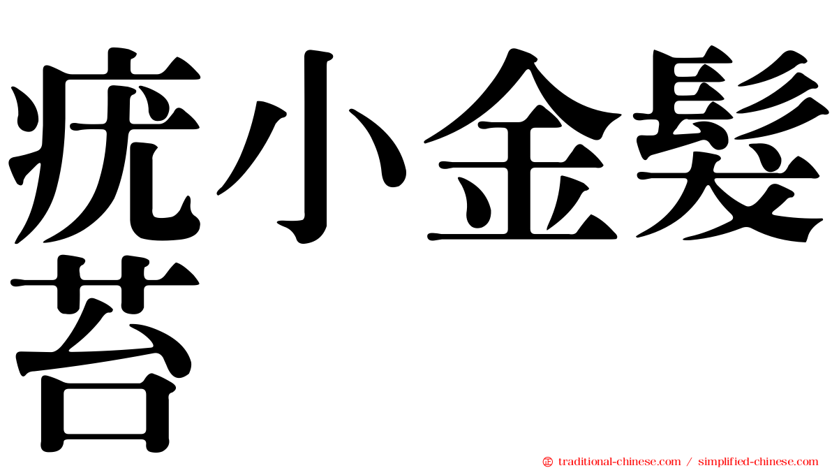 疣小金髮苔